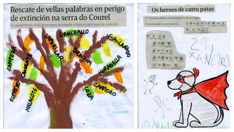 � esquerda, ga�adores da categor�a Infantil-1 e � dereita, os segundos clasificados. Uns e outros son alumnos de Alejandra Doval no CEIP do Corgo. Todos son da aula de tres anos, os m�is pequenos do cole