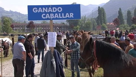 Feria ganadera de La Ascensin de Oviedo en 2018