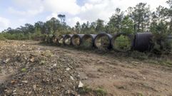 LOS RESTOS DE LA PRIMERA ACTUACI�N. La autov�a termina en Santa Irena, pero la traza qued� lista para continuar hasta Berdoias. Y en la primera parte del recorrido, donde ahora se va a actuar, quedan restos evidentes de aquellas primeras obras. Sobre todo en el inicio, un buen segmento de terrenos que fue dedicado a circuito de motos de cros, pero donde tambi�n los ladrones se llevaron alambrada y donde existen zonas en la que la maleza es tan grande que casi no parece que se hubiese abierto.