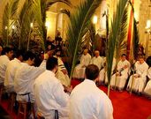 Actos do Domingo de Ramos na bas�lica de San Marti�o.