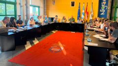 Votaci�n durante el pleno de Nigr�n.