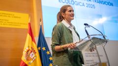 La ministra de Transición Ecológica, Sara Aagesen, hoy, durante la presentación del estudio.