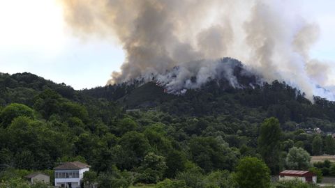 Vista del incendio forestal en la localidad asturiana de Pe�aflor (Grado)