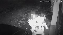 Sustracci�n de perros en Abegondo