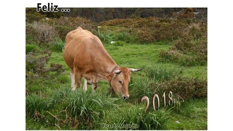 Felicitaci�n de Ricardo Mojard�n