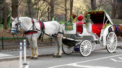 Un carruaje de caballos en Central Park, en Nueva York, en una imagen de archivo