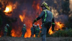 Incendio forestal en Ames