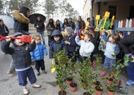 Cada escolar de segundo y tercer curso plant� una camelia en el entorno del colegio. 