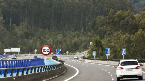 El corredor de O Morrazo est rodeado de plantaciones de eucaliptos