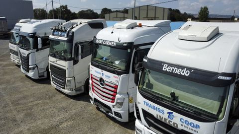 Camiones aparcados en el pol�gono industrial de O Morelle, en Sarria.