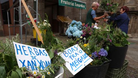 Venta de herbas de San Xon en Santiago de Compostela