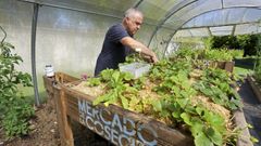 El profesor Ricardo Fern�ndez Guerra, esta semana, en la huerta del CIFP Carlos Oroza de Pontevedra