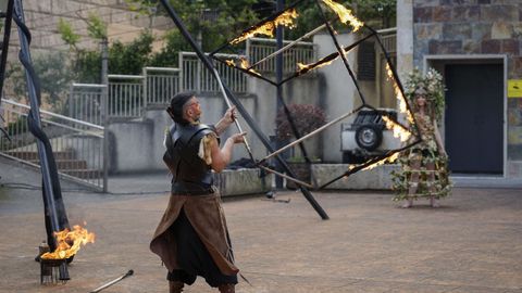 Especialistas H�pica Celta act�a en Sarria