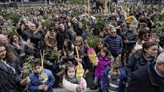 Bendici�n de ramos ante la Subdelegaci�n del Gobierno