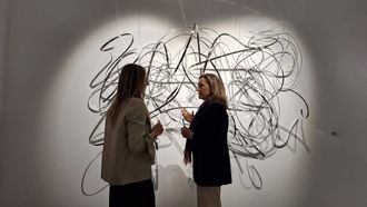 La sede de la Diputaci�n en Vigo acoge la muestra