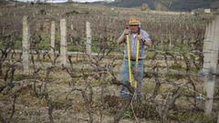 Un agricultor en un viedo de Beade, en pleno estado de alarma