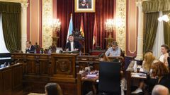 El pleno de este viernes, dirigido por Anbal Pereira en un momento de ausencia del alcalde, Gonzalo Prez Jcome.