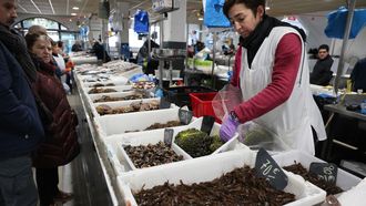 Las plazas se preparan para Nochevieja