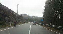 La presencia de reses en la v�a es m�s com�n en d�as de niebla. 