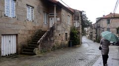 El pazo sufri&oacute; una importante plaga de termitas en 2022