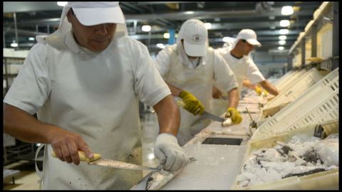 Imagen de archivo de una planta de procesado de productos pesqueros en Argentina