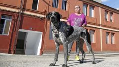 El animal, un precioso pointer al que le encantan los paseos largos, tiene apenas cuatro a�os.