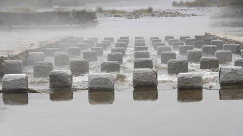 El novedoso paso de peces en el ro Mio en Lugo