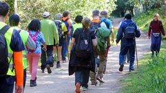 El grupo de exalcoh�licos que hizo el Camino Portugu�s desde Vigo hasta Compostela.  