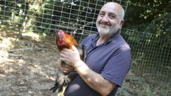 Iglesias, ayer con uno de sus gallos (el premiado se subi a una higuera y se resisti a bajar para la foto)