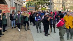 Concentracin de mariscadoras en O Grove