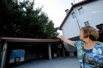 Los pinos tienen cerca de 20 metros de altura y est�n pegados a la vivienda.