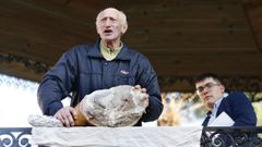 Los lacones de la Candelaria alcanzan los 70 euros en las poxas