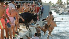 Celebraci�n del bous a la mar en la localidad alicantina de Denia, otro tradicional espect�culo taurino que se celebran en toda la comunidad