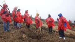 PortAm�rica: una entrada un �rbol