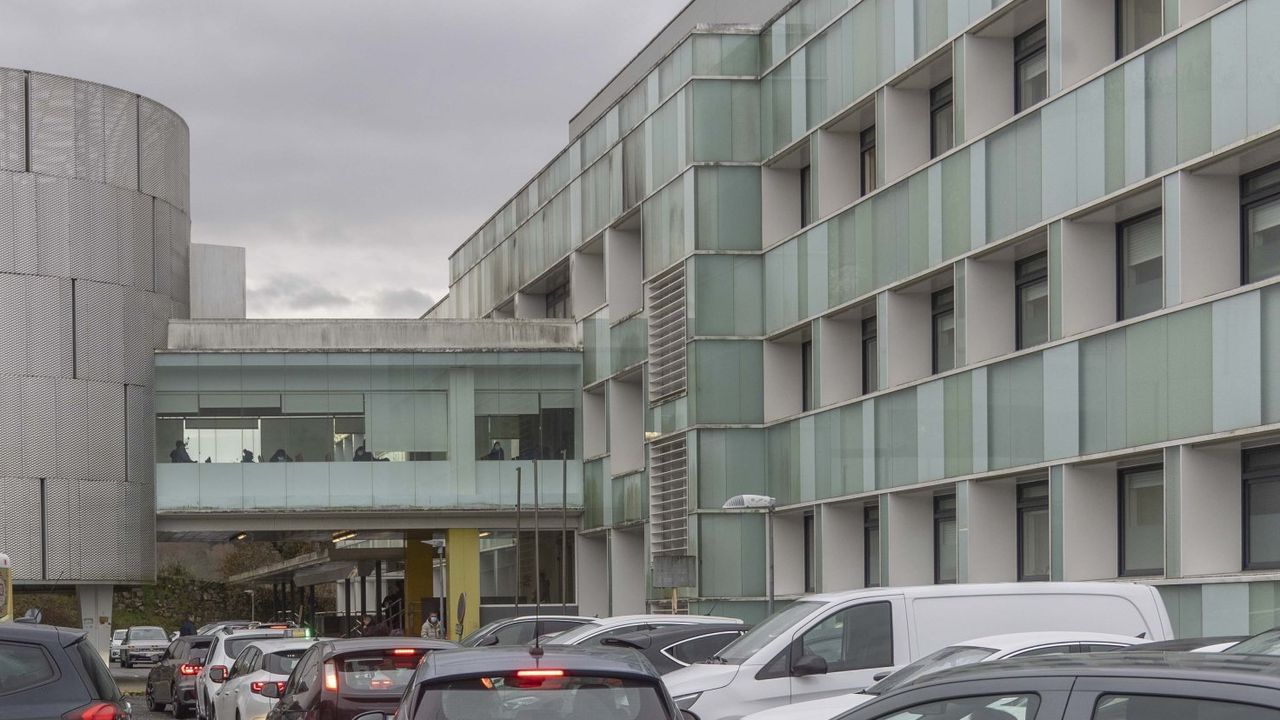 En lo que va de año se han registrado 21 brotes de sarna en Galicia