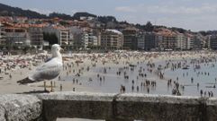 Un d�a de sol y playa en Sanxenxo