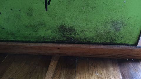 Estado en el que se encuentran varios de los pisos afectados por las humedades en los n�meros 15, 17, 19, y 21 de la calle Ribeira Sacra en Novo Mesoiro