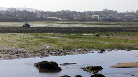 El controvertido proceso se est� produciendo en el seno de la Cofrad�a de Vilanova