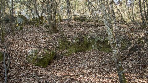 El castro de Vilamaior est� muy alterado por la agricultura y el reaprovechamiento de sus piedras