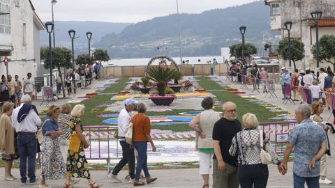 Alfombras Florales de Ares