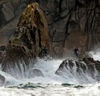 Cant�s nas illas Sisargas, en Malpica, preto de one bateu o Priam.