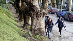La suciedad y el deterioro de aceras y v�as afean el Campus Vida�
