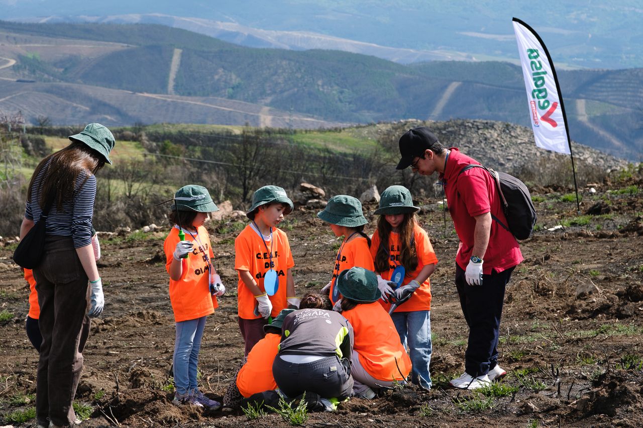 Vegalsa-Eroski y AMICOS devuelven la vida al monte de Monterrei