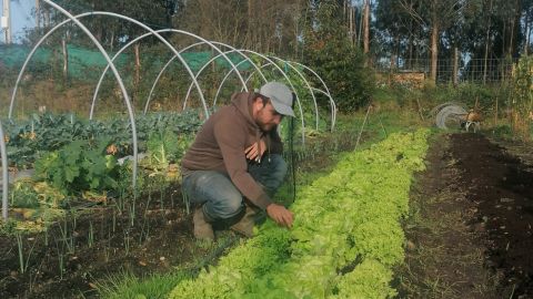 Diego B�rcena, en la huerta de La Enredadera