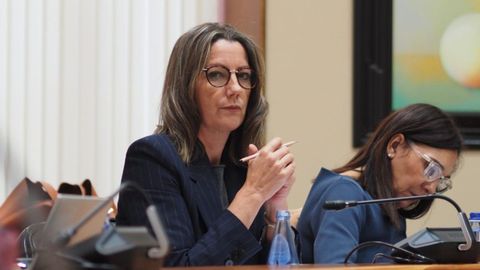 La diputada socialista y secretaria de Organizaci�n del PSdeG, Lara M�ndez.