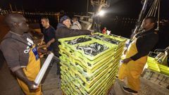 Tripulantes de cerqueros descargando sardinas en el puerto de Corcubión a mediados de julio del 2025