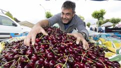 La Feira das Cereixas de Paiosaco, �en im�genes!