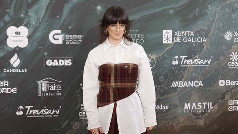 Alfombra dourada dos XXIV Premios Mestre Mateo celebrados en Lugo