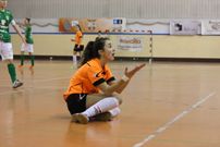 Viaxes Amarelle
Primera Divisi�n de f�tbol sala