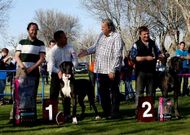 �Harpa de Dogalmar� al recibir el primer premio en su categor�a.